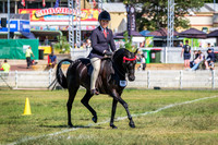 DSCF0014