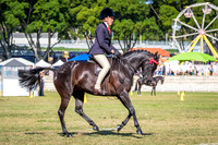 DSCF0040