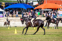 DSCF0045