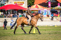 DSCF0070