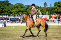 DSCF0085