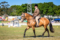 DSCF0093