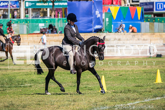 DSCF0162