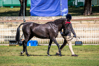 DSCF6193