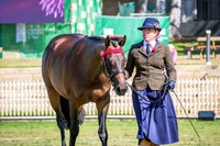 DSCF6201