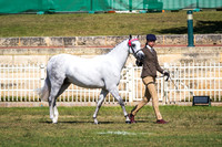 DSCF6209