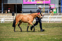 DSCF6782