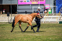 DSCF6783