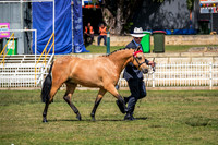 DSCF6784