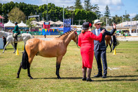DSCF6778
