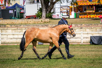 DSCF6787
