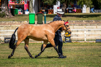 DSCF6790