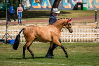 DSCF6799