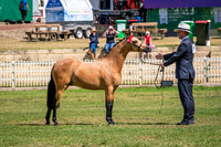 DSCF6809