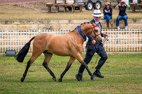 DSCF6857