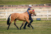 DSCF6851
