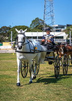 Champion & Reserve Novice Carriage Driving Exhibit