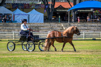DSCF1872