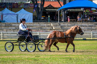 DSCF1874