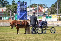 DSCF1915