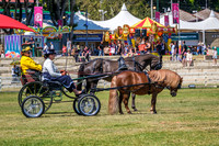 DSCF3471