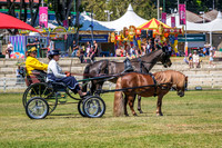 DSCF3476