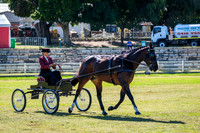 DSCF1046