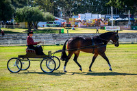 DSCF1054