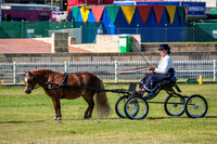 DSCF1074