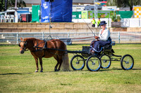DSCF1085