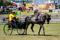 DSCF3542