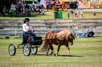 DSCF3612