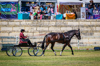DSCF3677