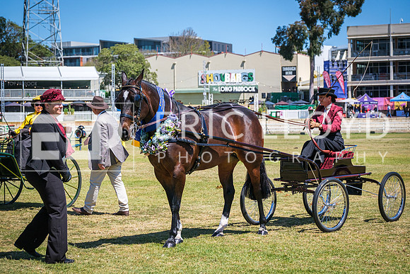 DSCF3818