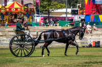DSCF3243