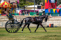 DSCF3244