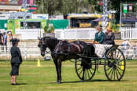 DSCF3287
