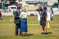 classes to Champion & Reserve Champion Non Hackney Carriage Horse Over 14 Hands