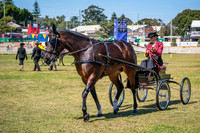 DSCF2731