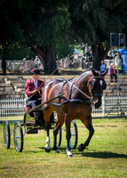 DSCF2766