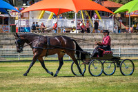 DSCF2771