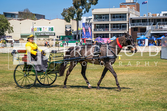 DSCF3038