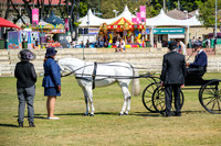 DSCF4281