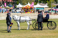DSCF4284