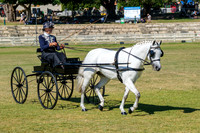 DSCF4275