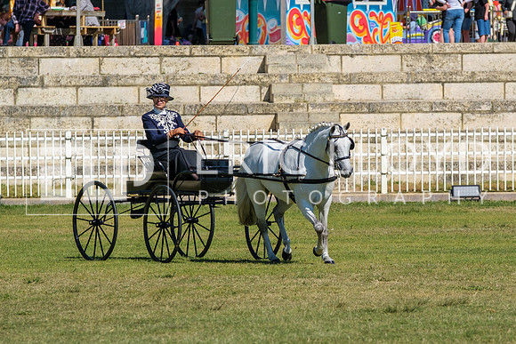 DSCF4308