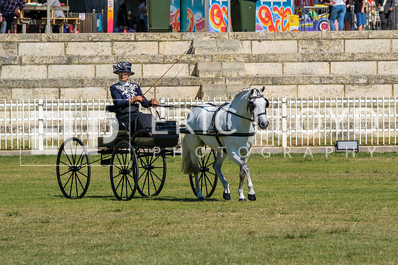 DSCF4309