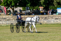 DSCF4321