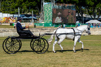 DSCF4331