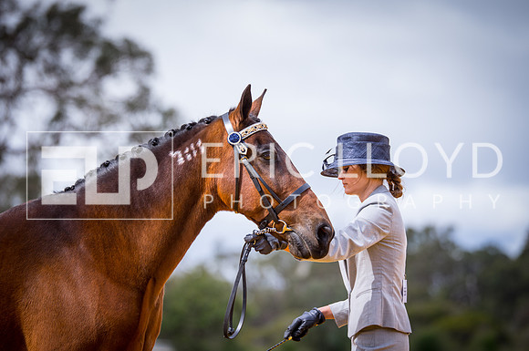 untitled-0903-2